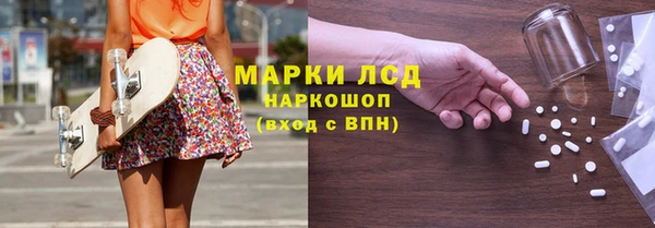 шишки Аркадак