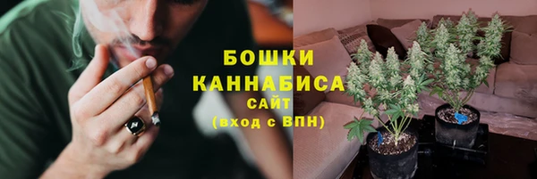 шишки Аркадак