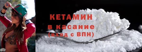 шишки Аркадак