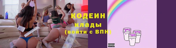 шишки Аркадак