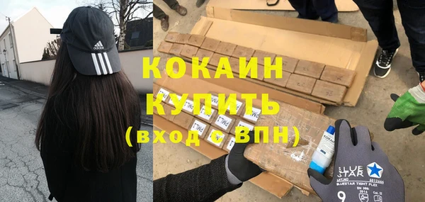 сатива Балахна