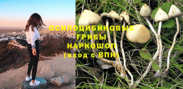 сатива Балахна