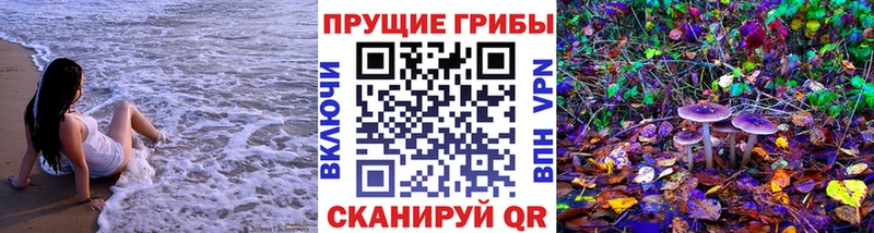 Псилоцибиновые грибы Psilocybine cubensis Строитель